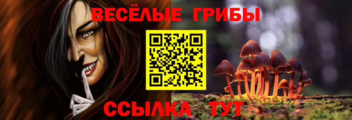 Элиста  Псилоцибиновые грибы Psilocybe  Вход с VPN 